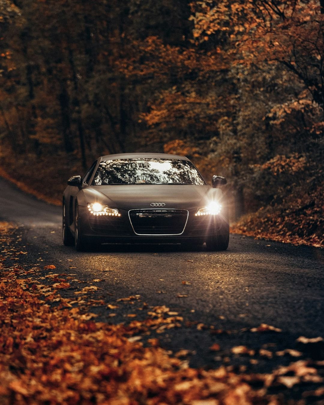 Audi R8 sport car • 2025